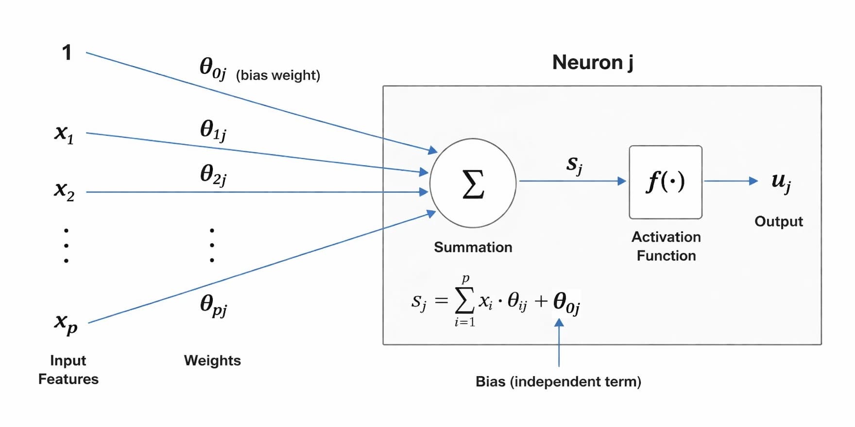 neuron model